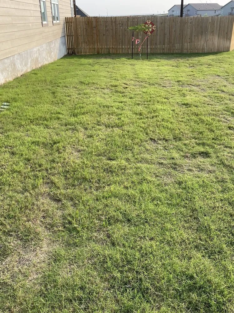 Professional residential landscaping for outdoor upgrades across Schertz, TX - Veteran Lawn Care