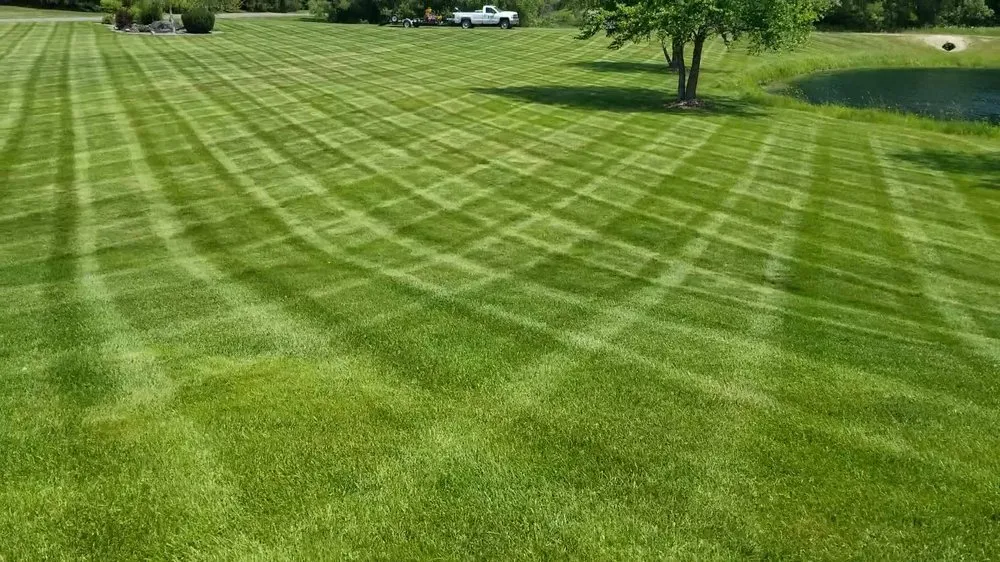 Reliable lawn care service experts serving Ham Lake, MN - Veteran Lawn Service