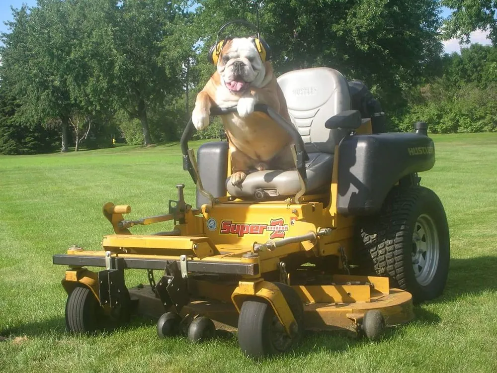 Reliable residential landscaping in Ham Lake, MN - Veteran Lawn Service