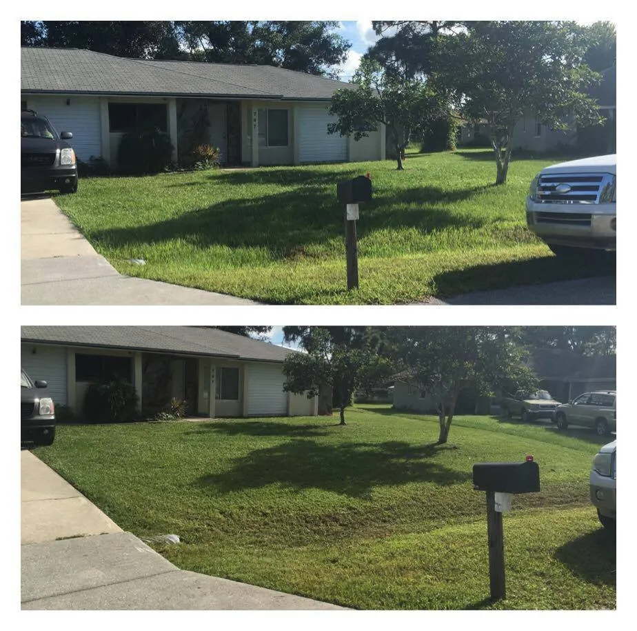 Reliable lawn care service experts serving Palm Bay, FL - Veteran Lawn Services