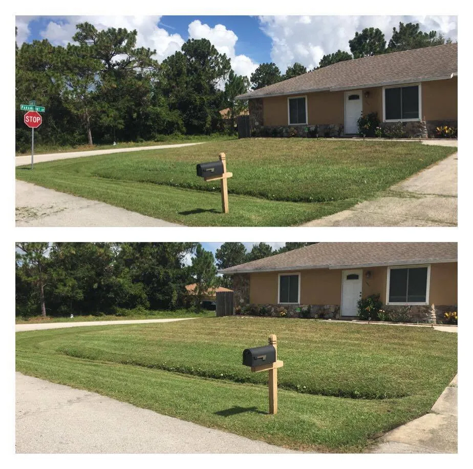 Reliable landscape design in Palm Bay, FL - Veteran Lawn Services