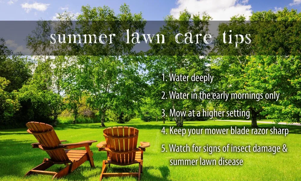 Reliable lawn care service near you across Palm Bay, FL - Veteran Lawn Services
