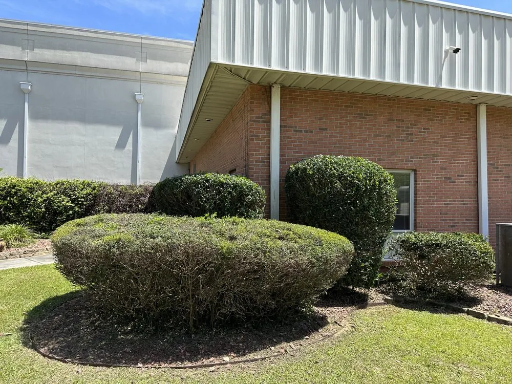 Local residential landscaping experts serving Dothan, AL - Veteran Lawncare