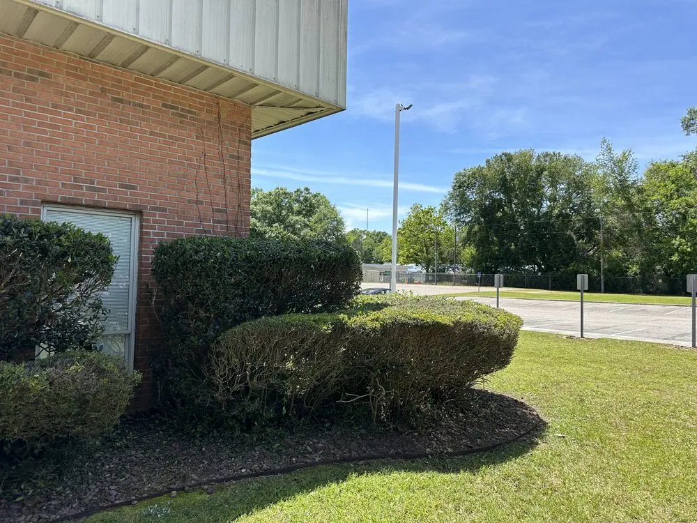 Reliable yard cleanup service experts serving Dothan, AL - Veteran Lawncare