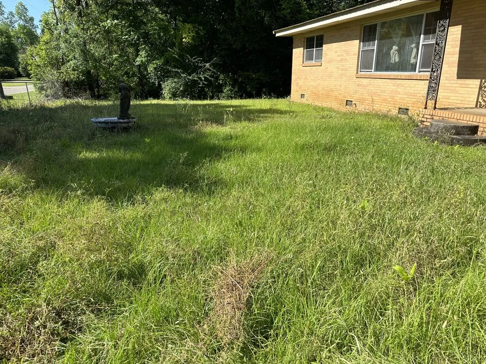 Reliable landscape design for homes across Dothan, AL - Veteran Lawncare