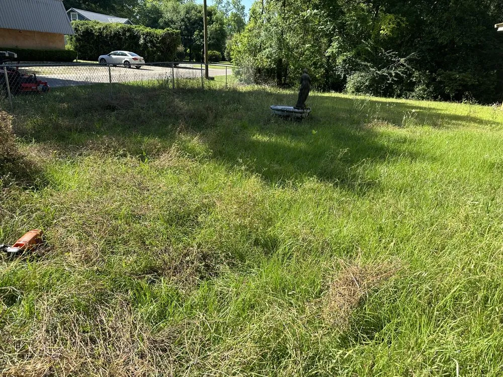 Affordable outdoor landscaping in Dothan, AL - Veteran Lawncare