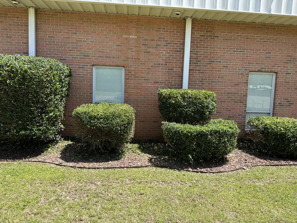Reliable landscaping services in Dothan, AL by Veteran Lawncare