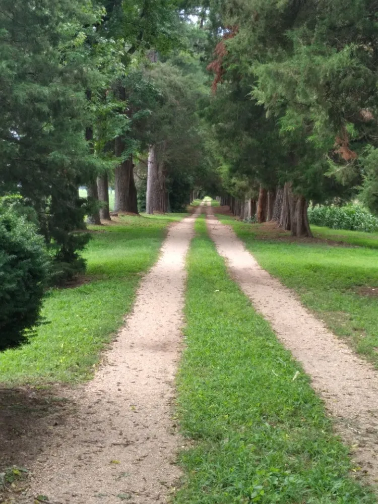 Top-rated landscaping services in Lake of the Woods, VA - Veteran lawncare