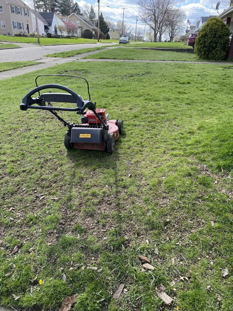 Local yard cleanup service for beautiful yards in Youngstown, OH by Veteran Millers Mowing And Trimming