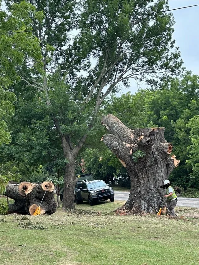 Reliable landscape installation in Youngstown, OH by Veteran Millers Mowing And Trimming