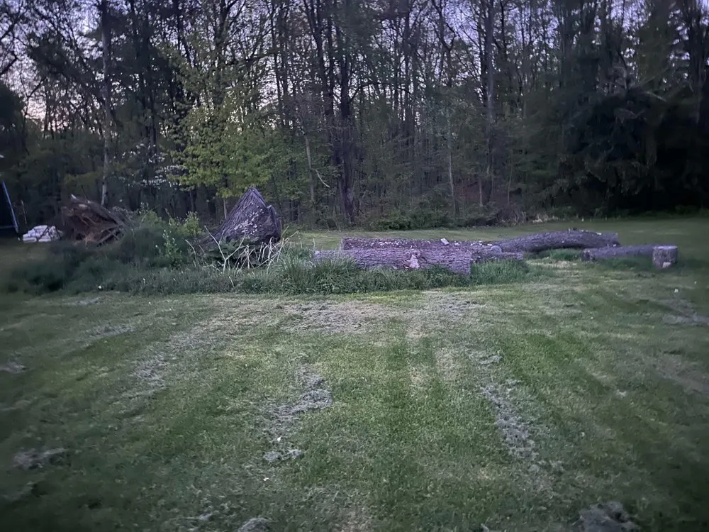 Trusted yard cleanup service in Youngstown, OH by Veteran Millers Mowing And Trimming