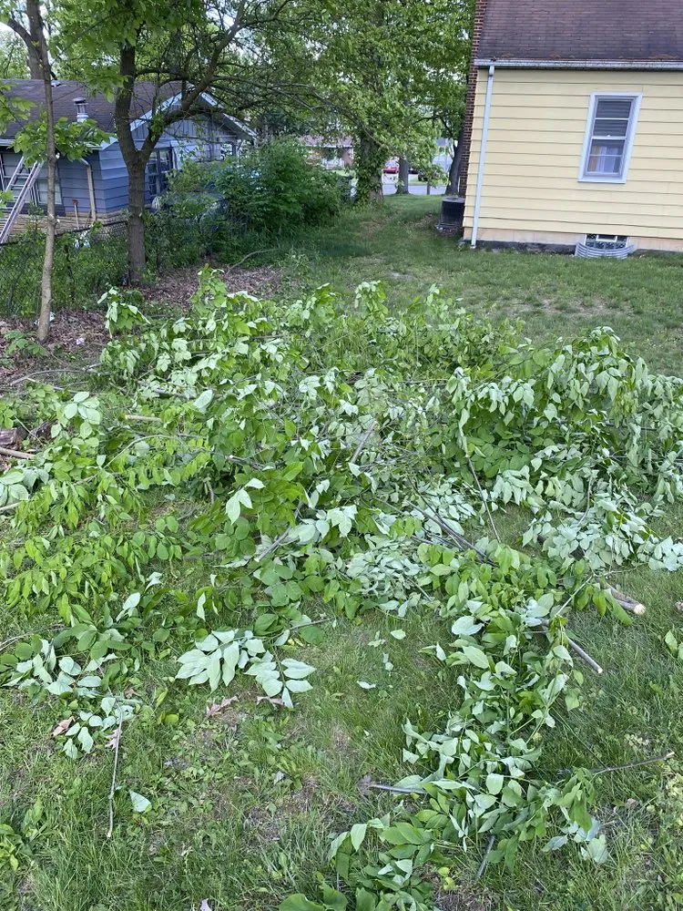 Top-rated yard cleanup service for residential properties across Youngstown, OH - Veteran Millers Mowing And Trimming