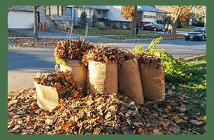 Trusted yard cleanup service with custom design in Youngstown, OH by Veteran Millers Mowing And Trimming