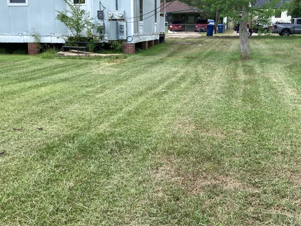 Professional landscape design in Johnson City, TN by Veteran Outdoor