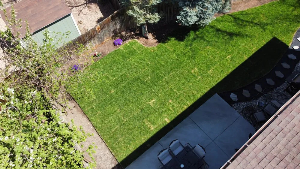 Professional lawn mowing service in Denver, CO by Veteran Patios