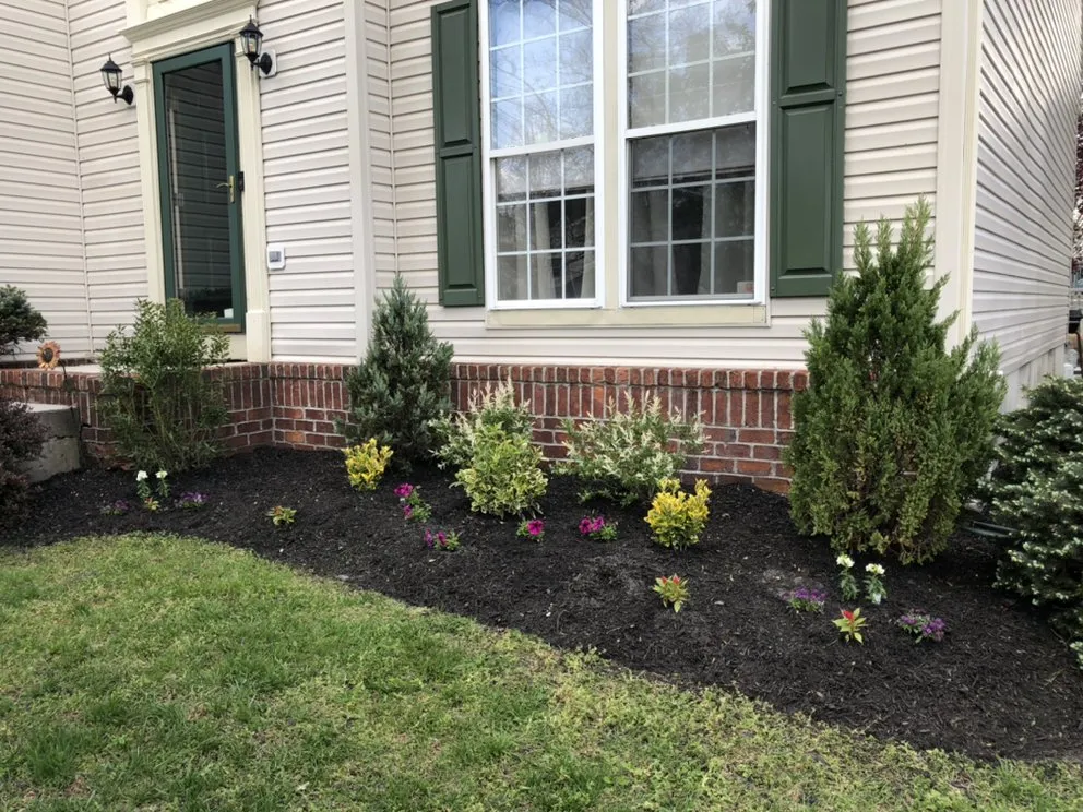 Local yard maintenance for residential properties in Somers Point, NJ by Veteran Property Control