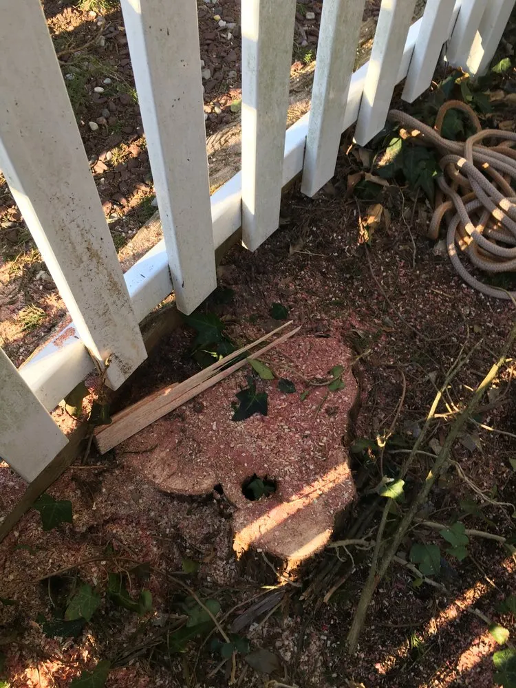 Reliable lawn care service in Somers Point, NJ by Veteran Property Control