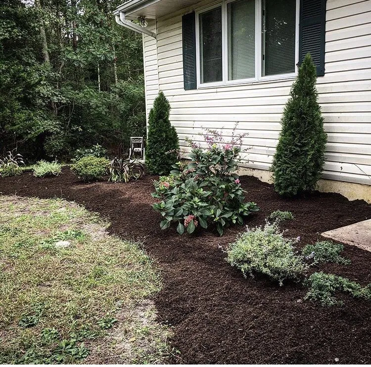 Trusted lawn care service for beautiful yards in Somers Point, NJ by Veteran Property Control
