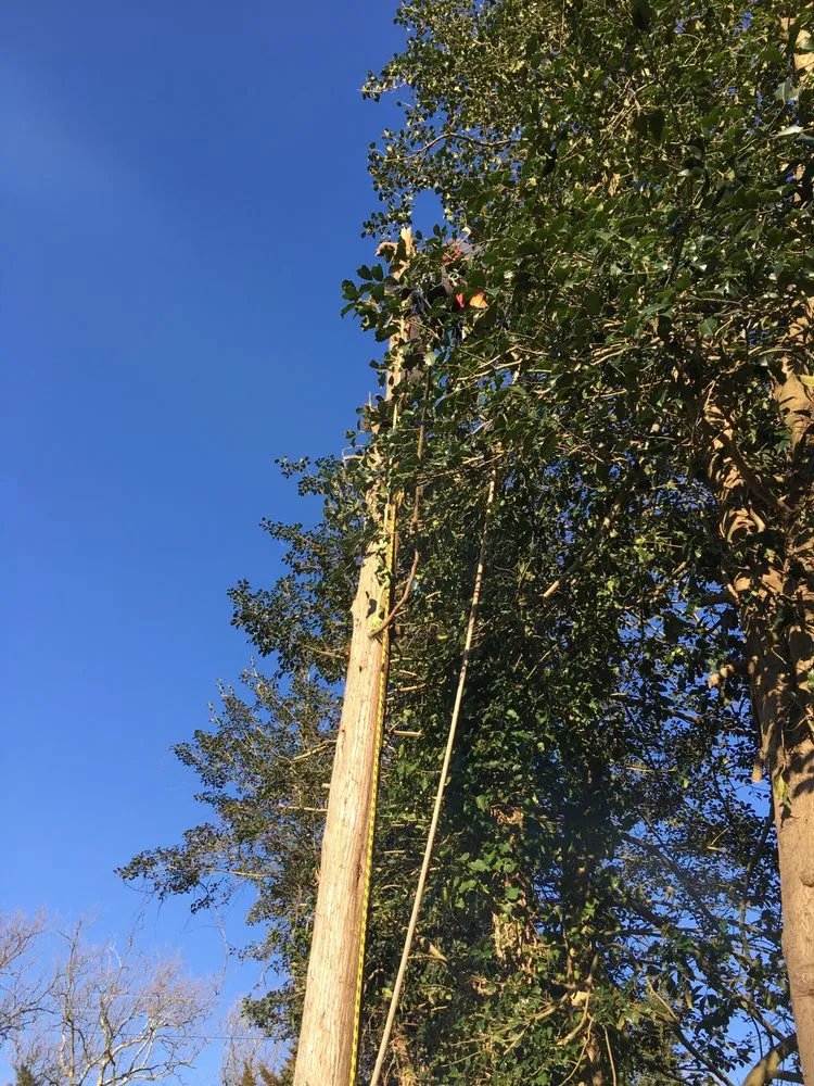 Custom yard maintenance in Somers Point, NJ by Veteran Property Control