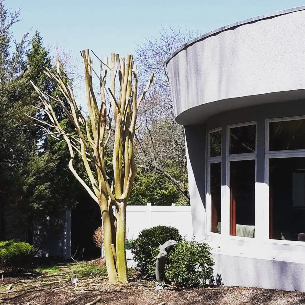 Trusted lawn care service in Somers Point, NJ by Veteran Property Control