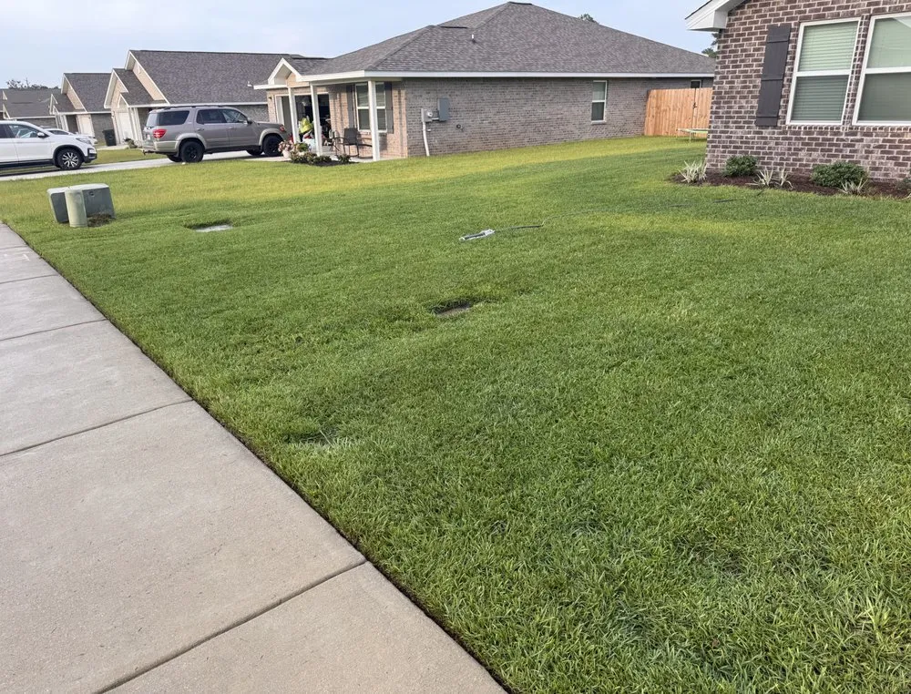 Trusted landscape installation experts serving Panama City Beach, FL - Veteran Roots Landscaping