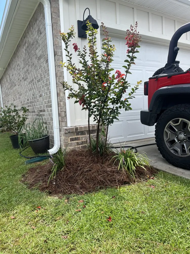 Expert residential landscaping near you across Panama City Beach, FL - Veteran Roots Landscaping