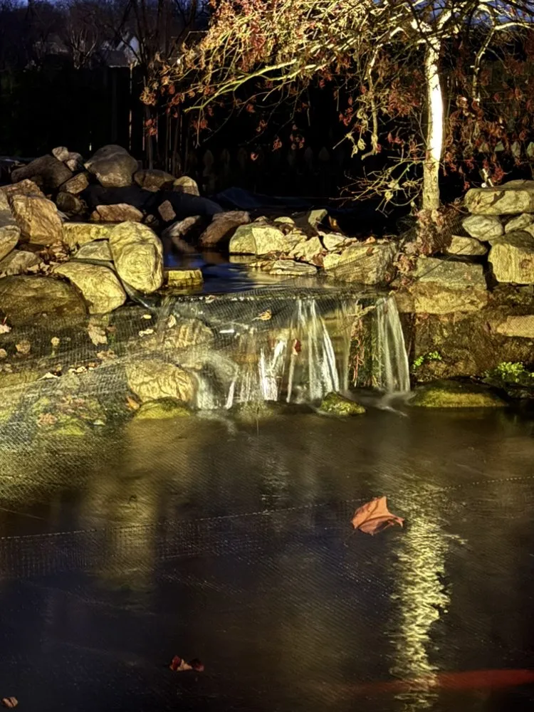 Top-rated residential landscaping for year-round maintenance across Spotsylvania, VA - Veteran Tree Services And Land Consulting