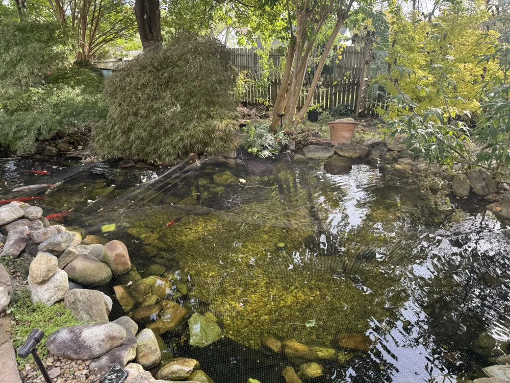 Top-rated lawn care service near you in Spotsylvania, VA by Veteran Tree Services And Land Consulting