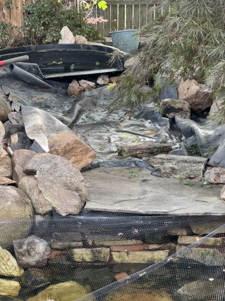 Reliable lawn mowing service experts serving Spotsylvania, VA - Veteran Tree Services And Land Consulting