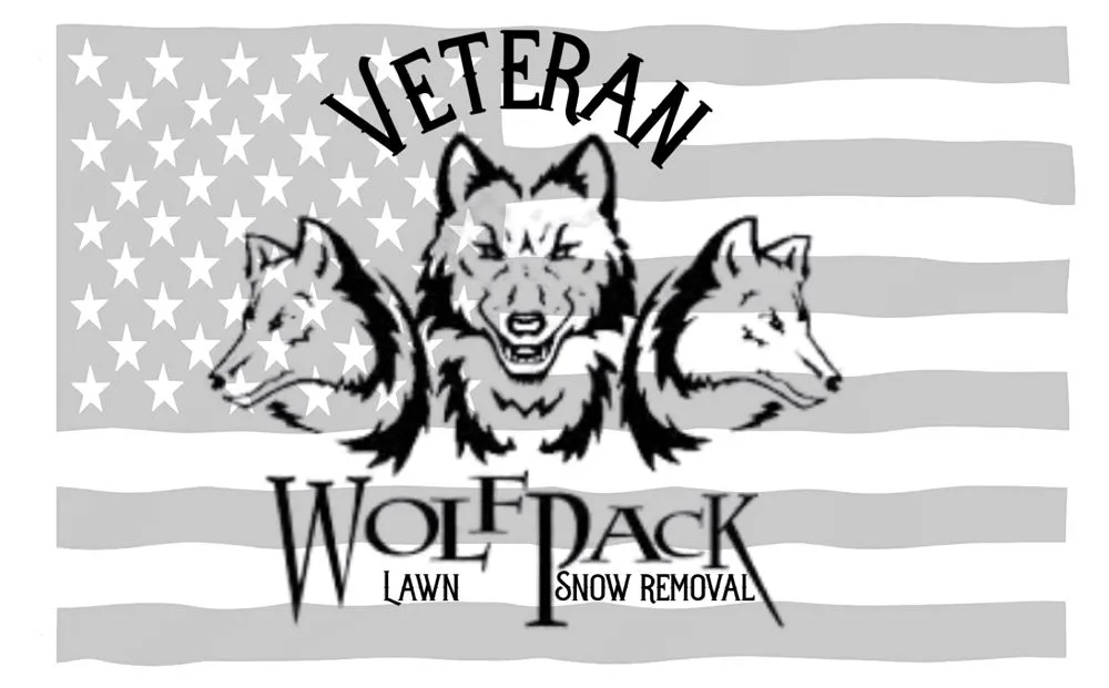 Reliable yard cleanup service experts serving Vadnais Heights, MN - Veteran Wolf Pack