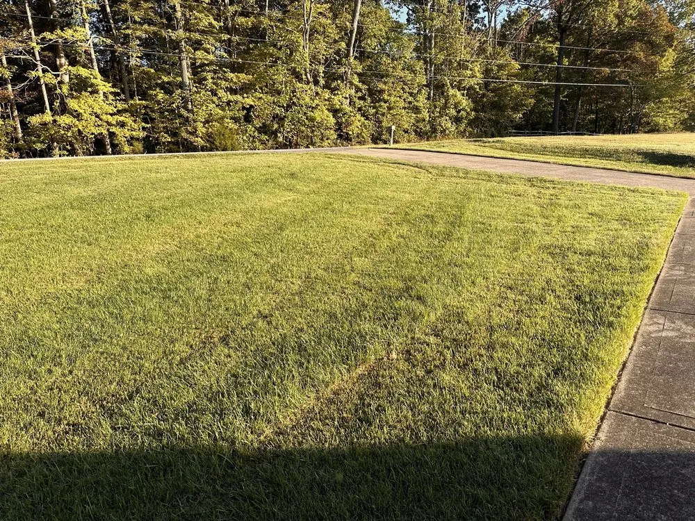 Trusted yard cleanup service near you in Clarksville, TN by Veterans Choice Lawn Service