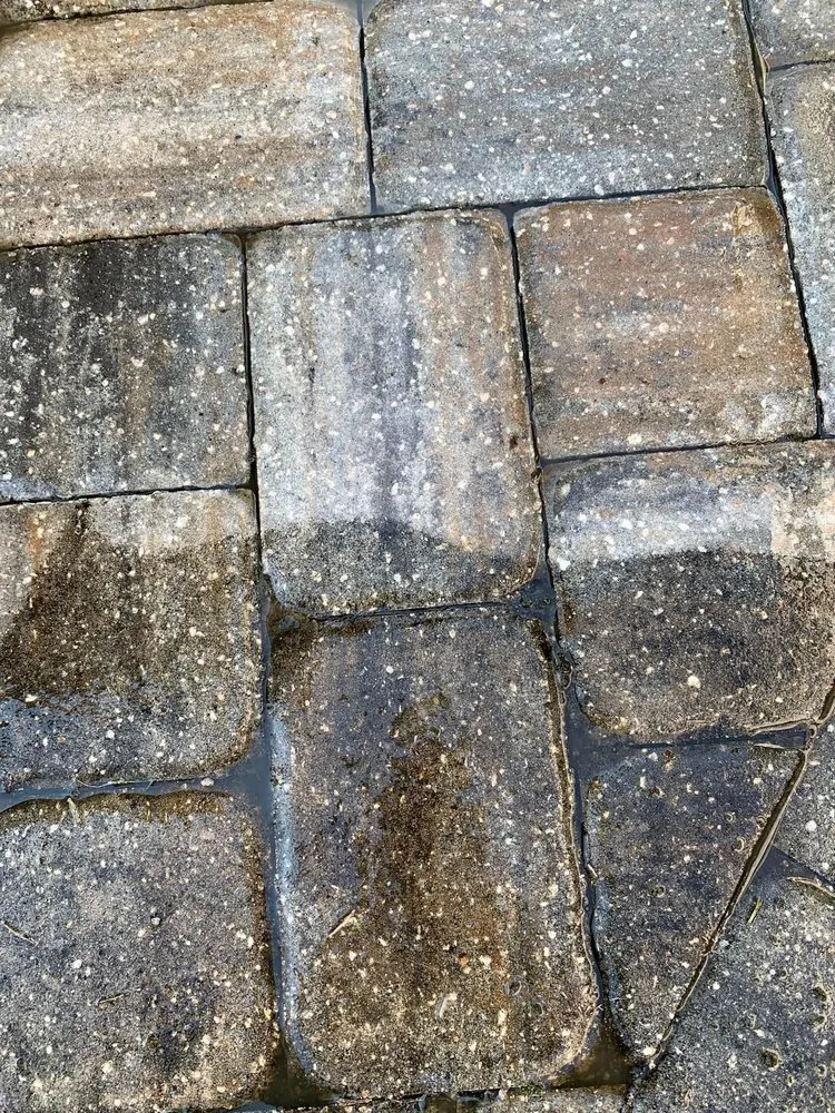 Affordable residential landscaping in DeFuniak Springs, FL - Veterans Household Repairs