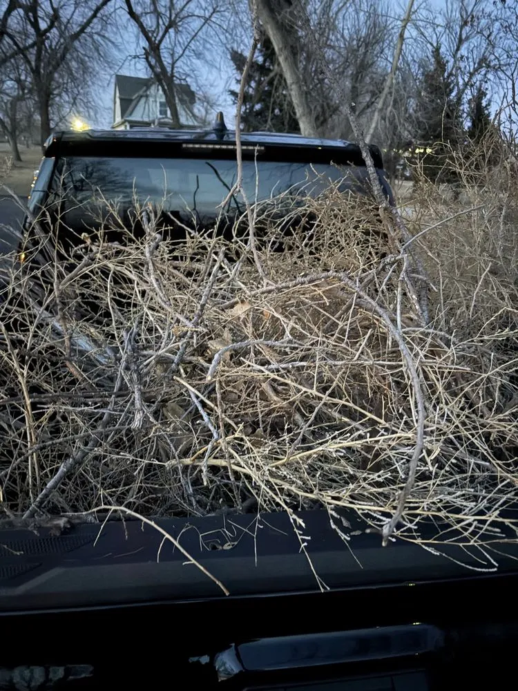 Trusted lawn mowing service for year-round maintenance across Rapid City, SD - Veterans Land Management