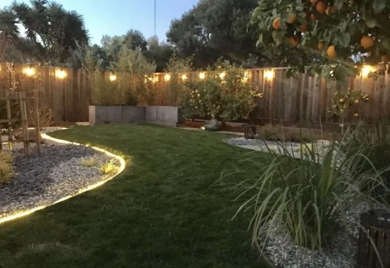Expert yard cleanup service for beautiful yards in Dallas, TX by Veterans Landscaping