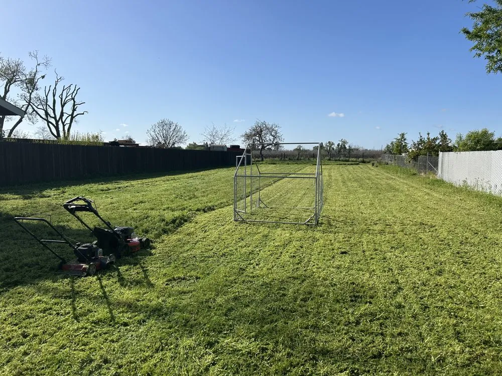 Top-rated yard maintenance in Sacramento, CA by Veteran’s Landscaping Service