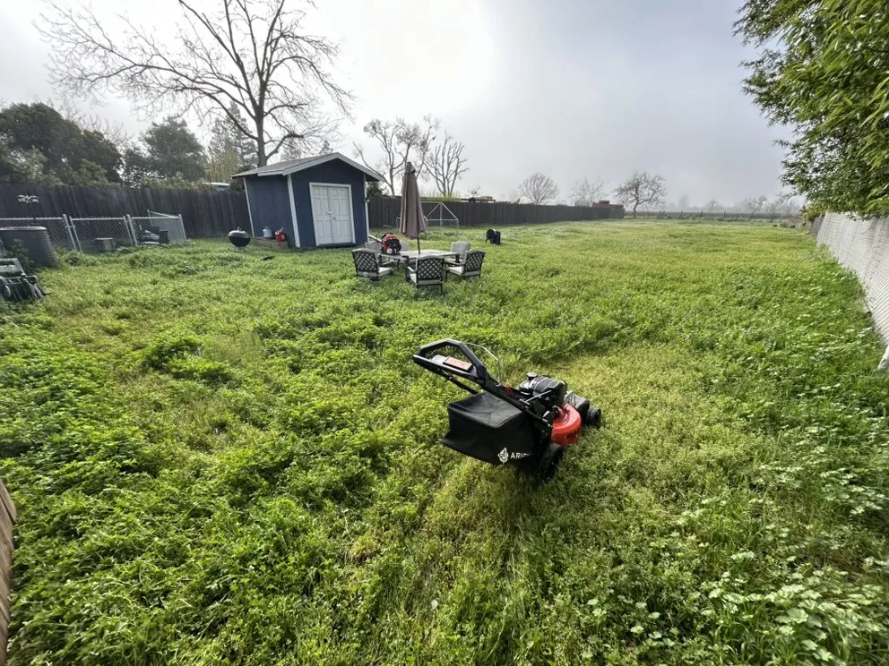 Reliable yard cleanup service in Sacramento, CA - Veteran’s Landscaping Service