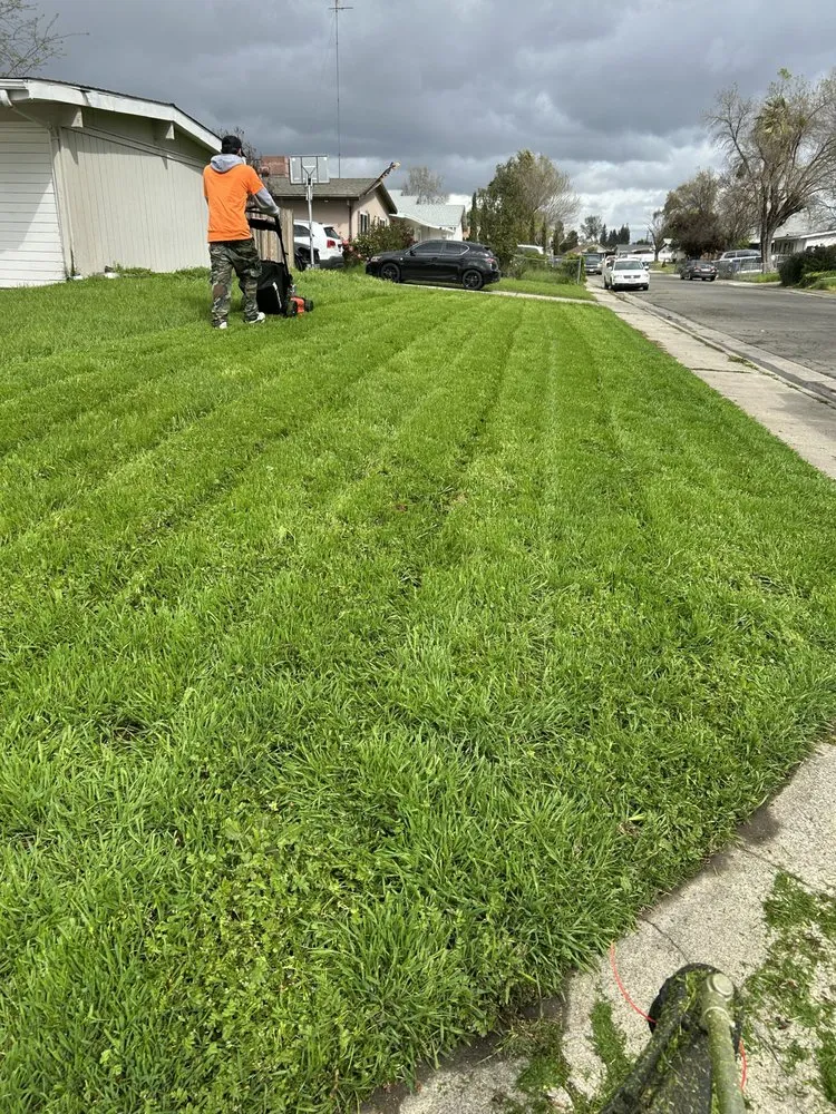 Expert lawn care service in Sacramento, CA - Veteran’s Landscaping Service