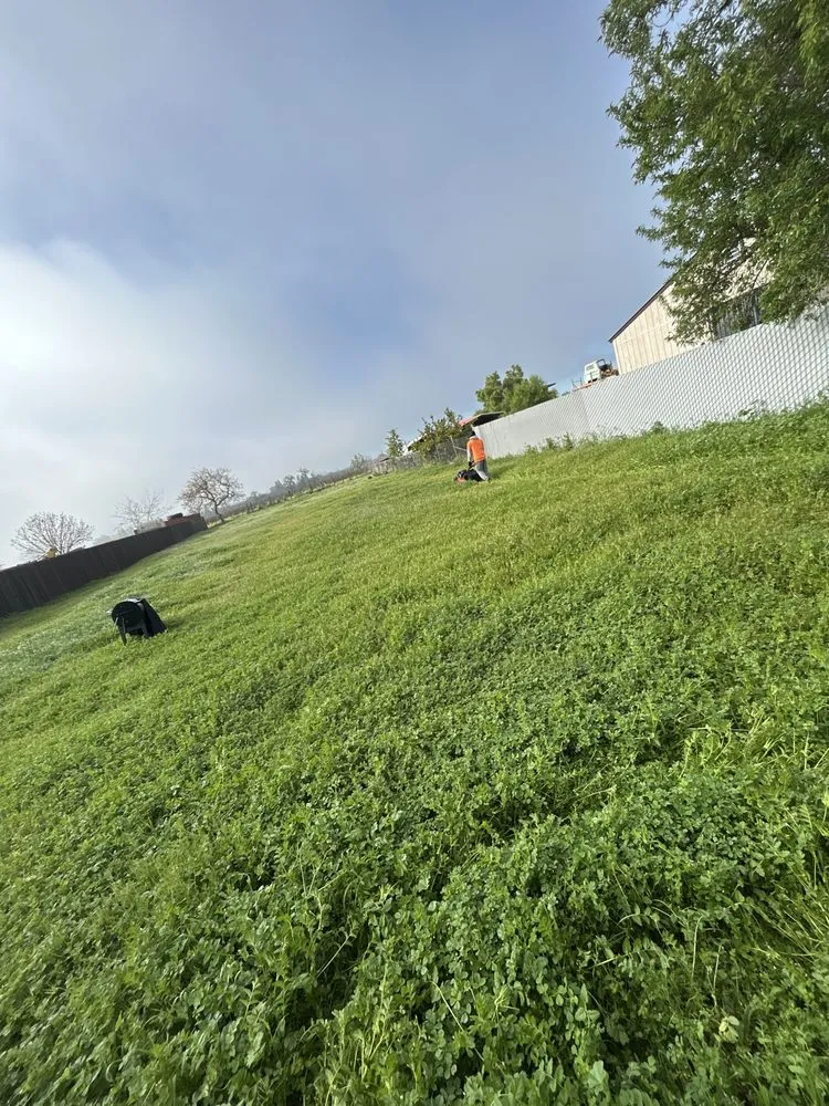 Reliable yard maintenance experts serving Sacramento, CA - Veteran’s Landscaping Service