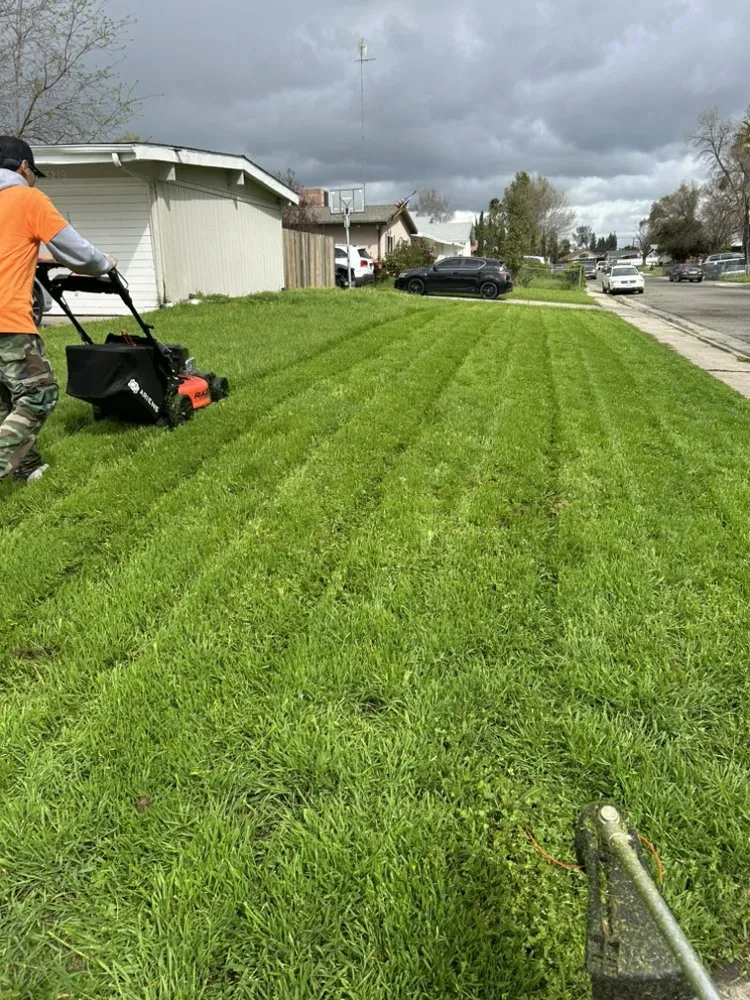 Reliable landscape design for beautiful yards across Sacramento, CA - Veteran’s Landscaping Service