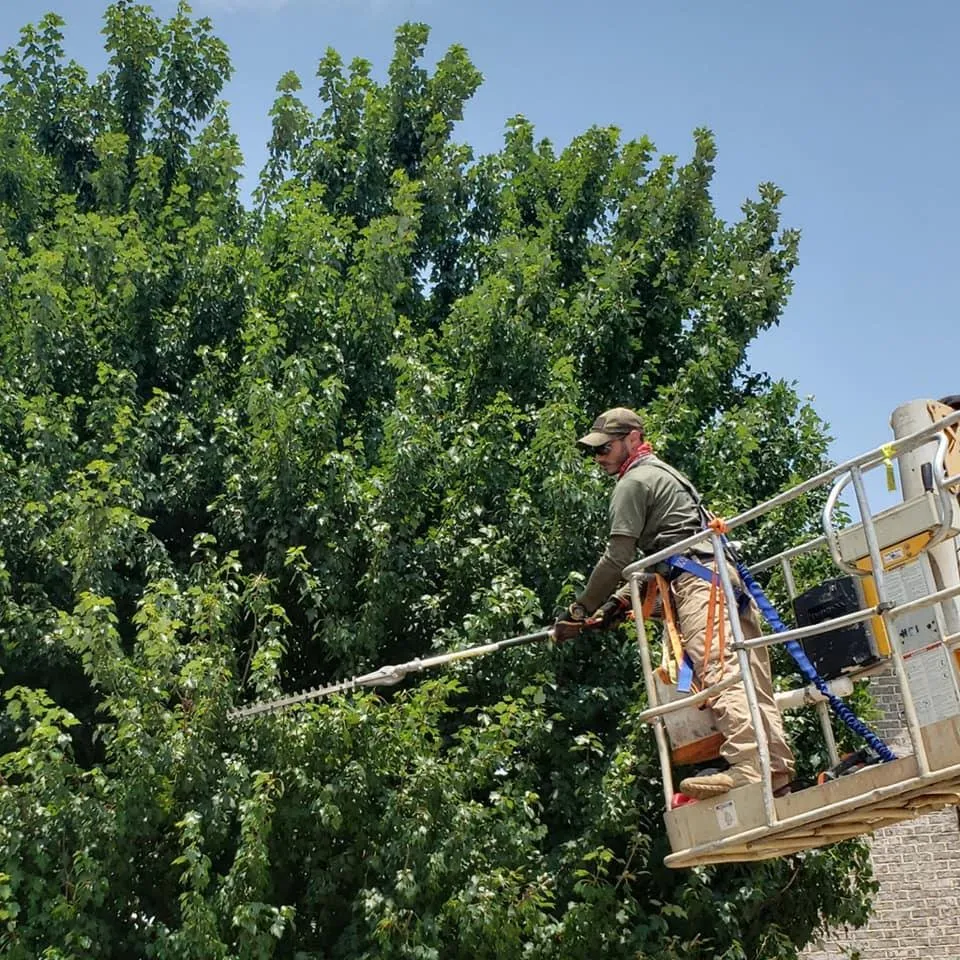 Top-rated garden landscaping for year-round maintenance in Huntsville, AL by Veteran's Lawn Care & Landscaping