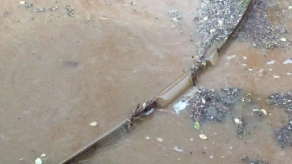 Custom yard maintenance in Huntsville, AL by Veteran's Lawn Care & Landscaping