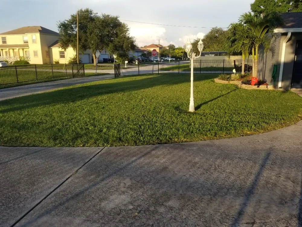 Trusted landscape design for homes across St. Petersburg, FL - Veteran's Lawn Care & Landscaping