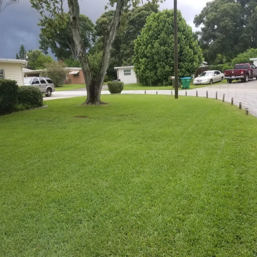 Reliable yard cleanup service in St. Petersburg, FL - Veteran's Lawn Care & Landscaping