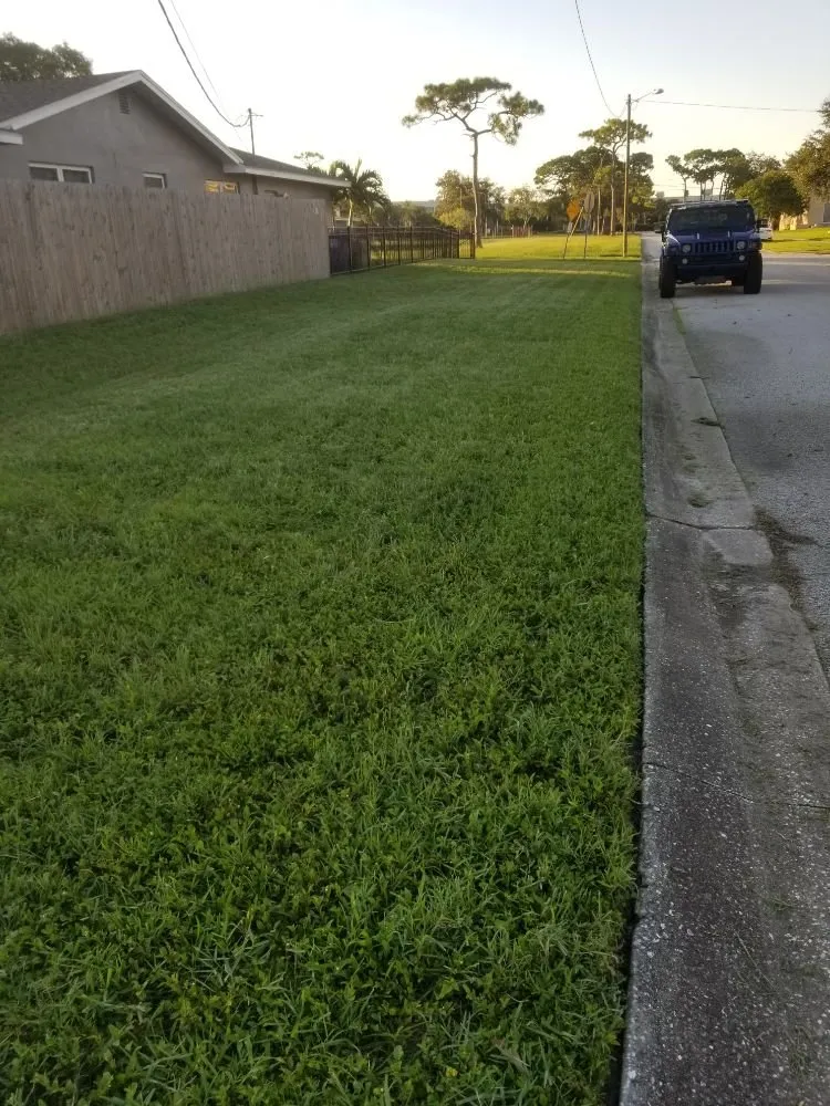 Expert landscape installation for beautiful yards across St. Petersburg, FL - Veteran's Lawn Care & Landscaping