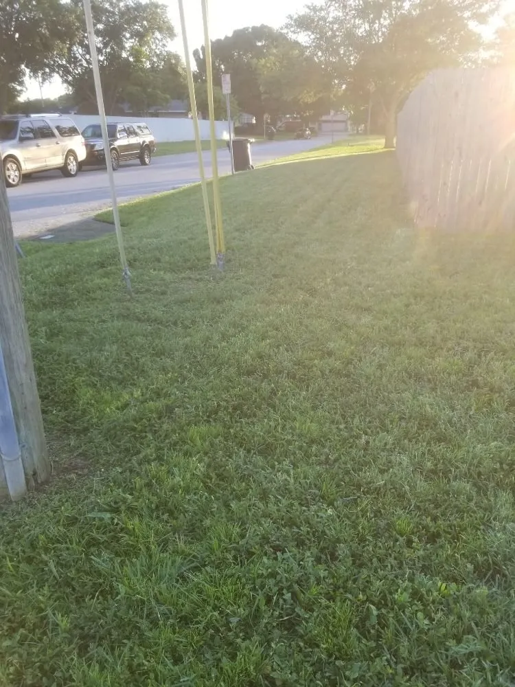 Reliable lawn care service for year-round maintenance across St. Petersburg, FL - Veteran's Lawn Care & Landscaping