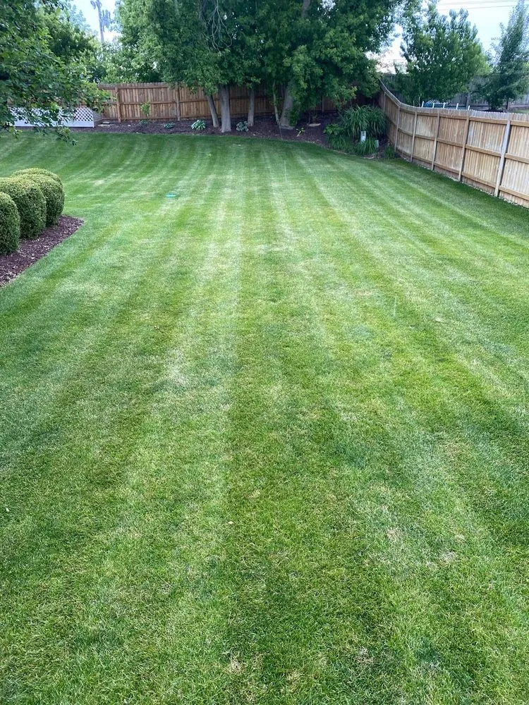 Expert outdoor landscaping in Slocomb, AL - Veterans Lawn Care