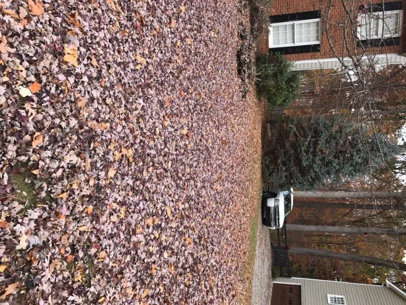 Custom outdoor landscaping experts serving Dallas, GA - Veterans Mowing