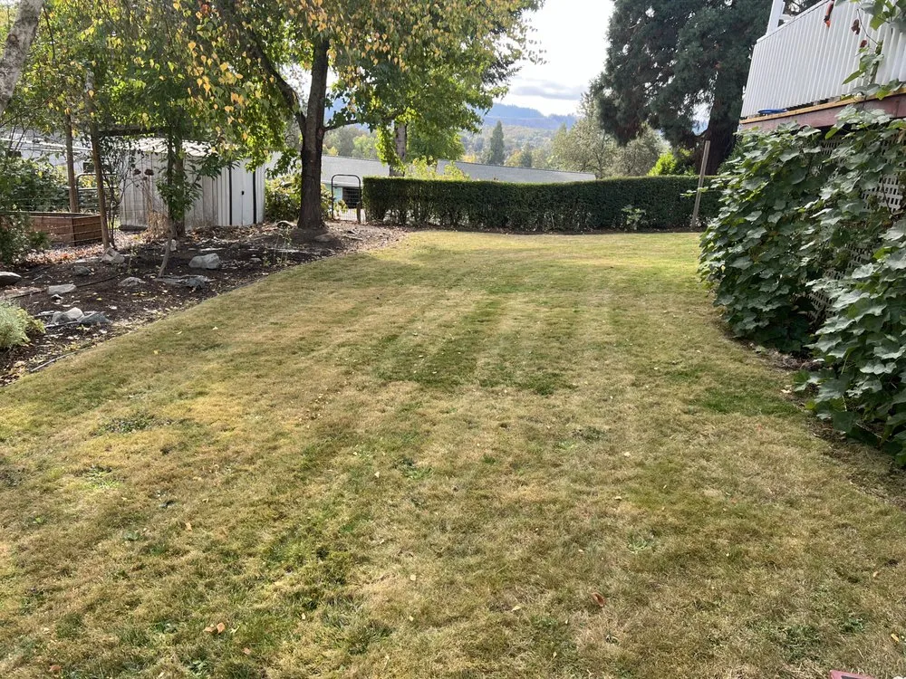 Reliable yard cleanup service for outdoor upgrades across Winston, OR - Veterans on the Mow
