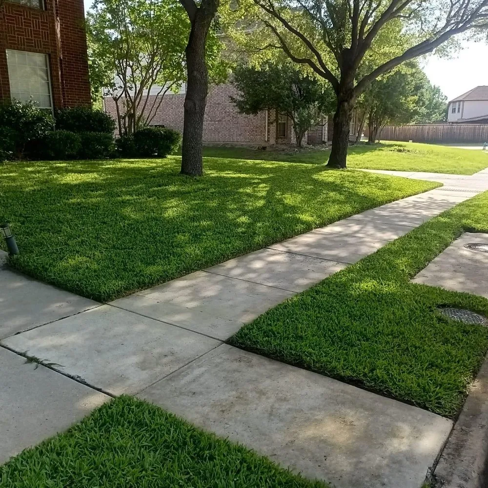 Local outdoor landscaping for residential properties in Arlington, TX by Veterans Pride Enterprises