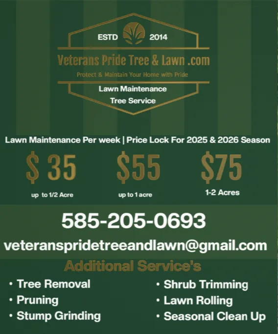 Expert yard cleanup service in Albion, NY by Veterans Pride Tree and Lawn